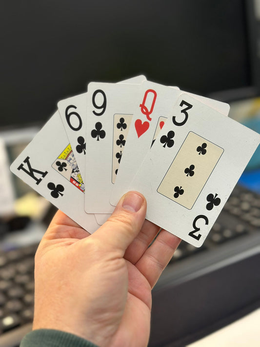 Kartenspiel-Großdruck-Spiel-dieSehwelt1